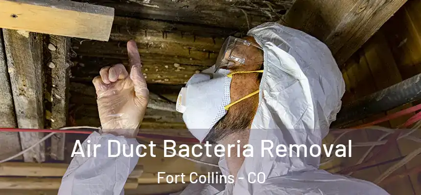  Air Duct Bacteria Removal Fort Collins - CO