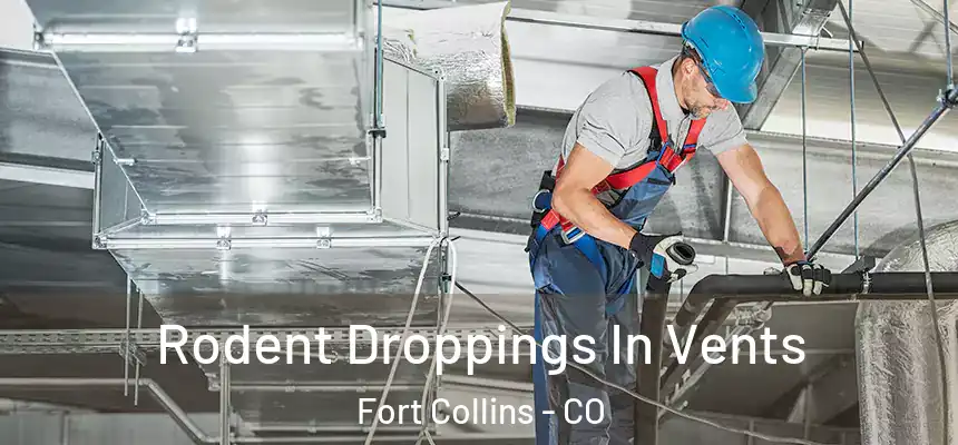 Rodent Droppings In Vents Fort Collins - CO