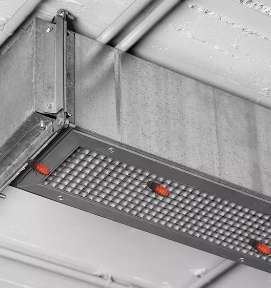 About Air Duct Cockroach Removal in Fort Collins, CO