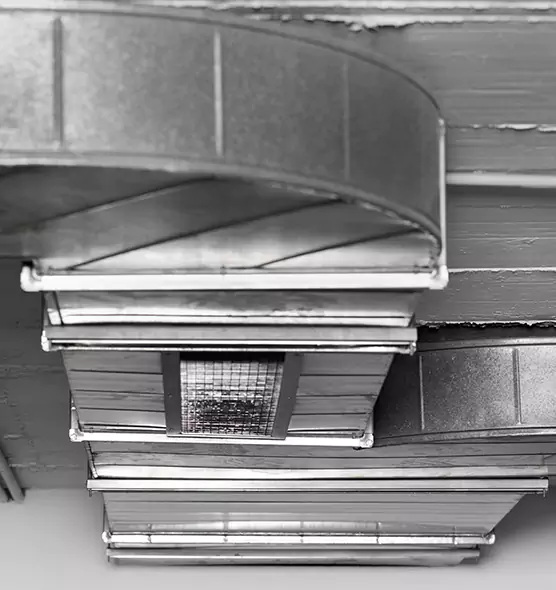 Professional Air Duct Pet Hair Removal in Fort Collins, CO