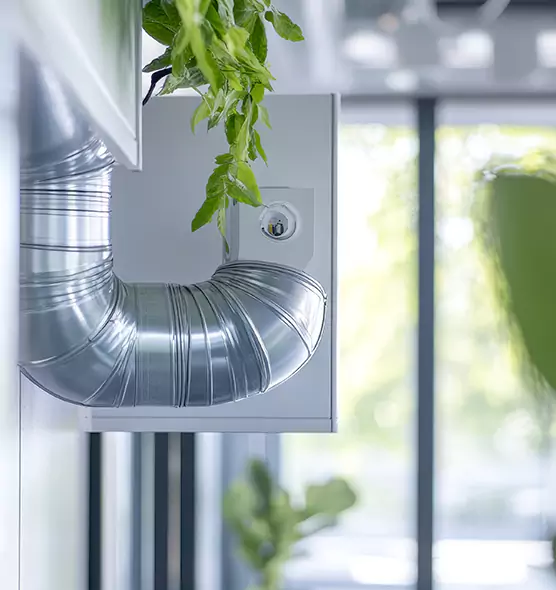 Professional Eco-Safe Dryer Vent Cleaning in Fort Collins, CO