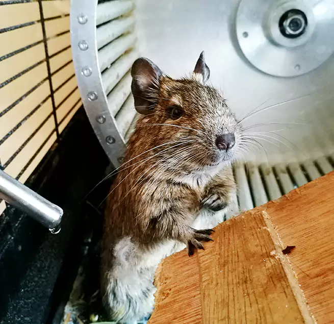 Why Homeowners & Businesses Trust Us Fort Collins, CO