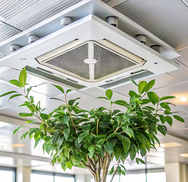 Why Homeowners & Businesses Trust Us in Fort Collins, CO?