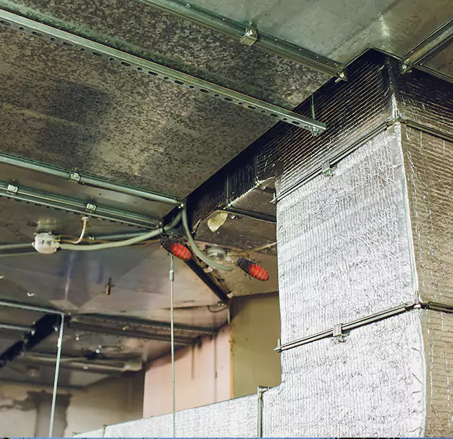 Why Homeowners & Businesses Trust Us Fort Collins, CO?